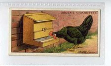 (Jf8065) OGDENS,POULTRY REARING & MANAGEMENT 1ST,HOPPER FEEDING,1922,#20