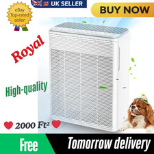 H13 hepa air purifier - purifier, for