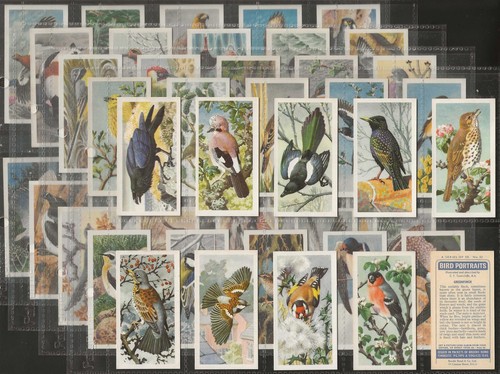 Brooke bond full set - bond, (tea)-full