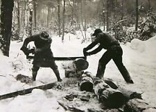 Vintage Logging Lumberjacks PHOTO Maine Firewood Saw Logging Camp Cabin 1939