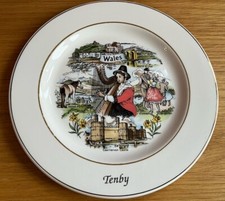 GW Potteries Fine China 8 inch Collector’s Plate TENBY Pembrokeshire Wales