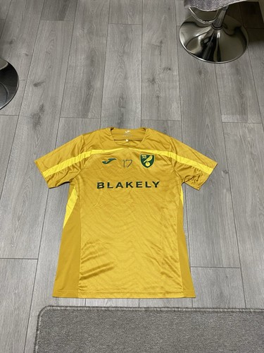 Norwich city match worn ante - city,
