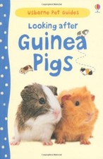 Looking After Guinea Pigs (Usborne Pet Guides),Laura Howell,Christyan Fox