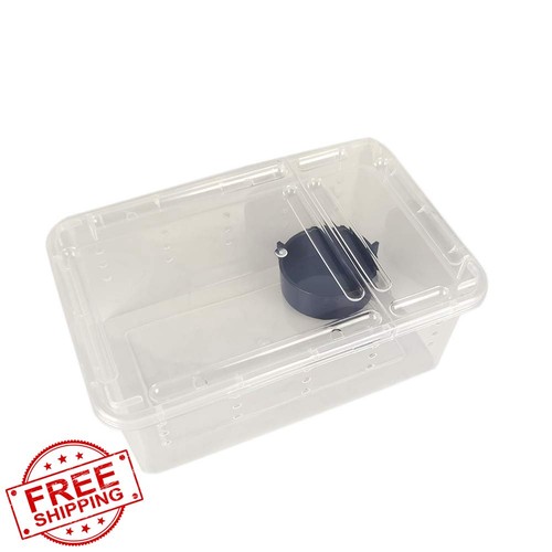 Omem clear reptile - xs,