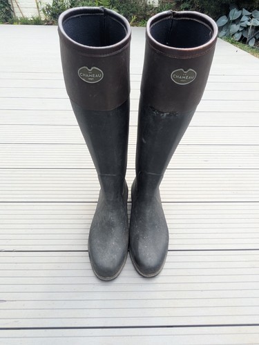 Chameau andalou equestrian - andalou,