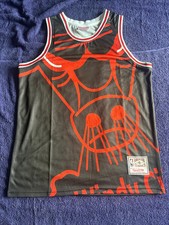 Chicago Bulls M&N NBA HardWood