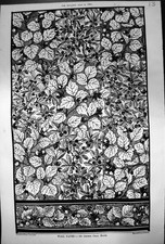 Antique Print Illustration Wallpaper George Chas Haite Leaves Berries 1881 19th