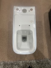 vitra toilet  comes with cistern andsoft close seat for people with disabilities