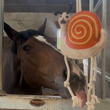 Ruggles Horse Stable Toy | Boredom buster for horse pony donkey | Snail