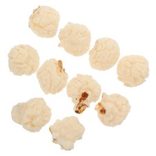 10 Pcs Popcorn Model