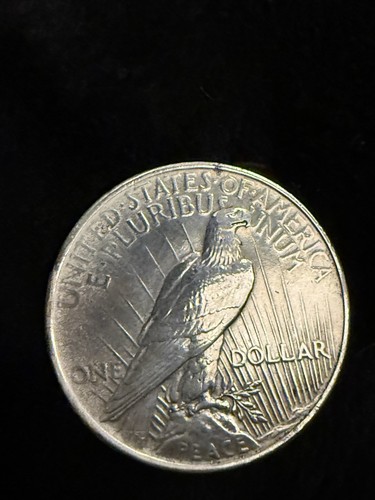 1923 peace silver dollar error - 1923,