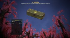 Fallout 76 Unyielding Box Mod
