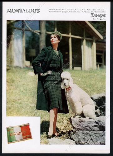 1960 white standard poodle