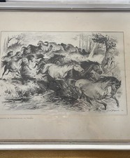 Antique Print Of Horses