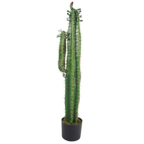 Artificial cactus plant - cactus,