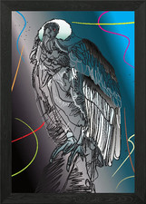 Condor Framed Wall Art Poster