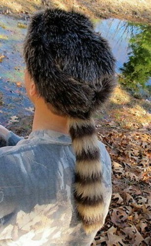 Davey crockett coonskin - davey,