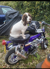 Honda Dax Monkey St70