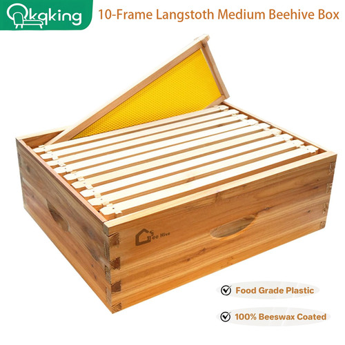 Frame medium brood - 10,
