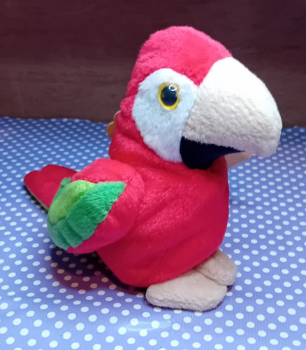 Noah ark parrot tagged - noah's,