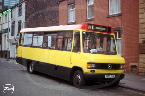Bus photo bee line - bus,