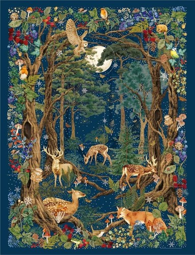 Christmas advent calendar - christmas,
