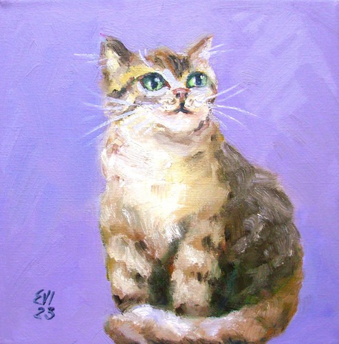 Cat original oil painting - original,