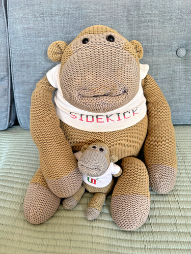 Sidekick tips monkey - sidekick,