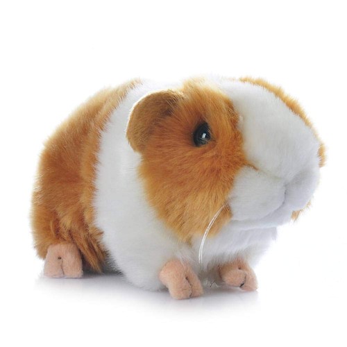 Cute orange 8inch guinea - orange, pig