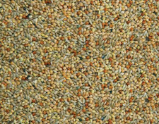 1KG BUDGIE SEED MIX Canaryseed