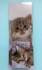 Cute Kittens 43x15cm Slim Wall