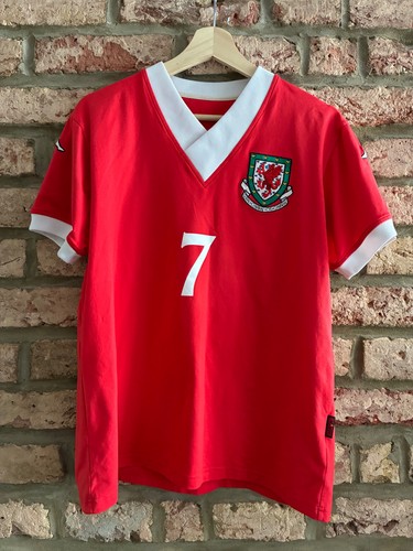 Wales 2006 kappa football - 2006/08,