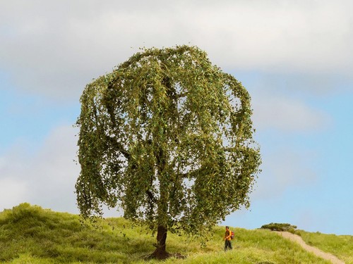 Noch weeping willow - willow, master