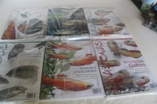 Amazonas Volume 6 Number 1-6