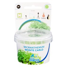 Aquafleur Easy Grow Foreground