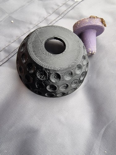 Zoa coral holder - coral,