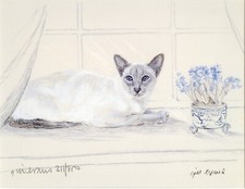 SIAMESE CAT Feline Art Limited