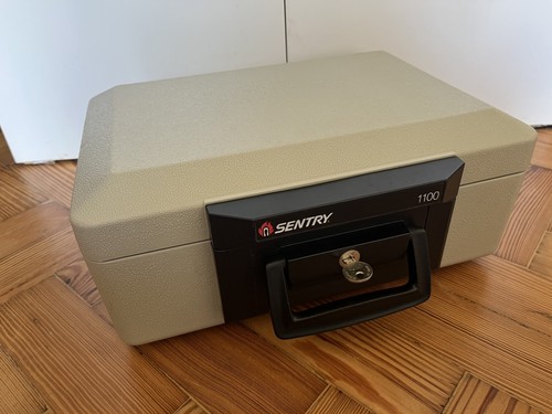 Sentry safe 1100 - 1100, fire
