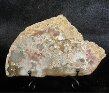 Suiseki Bonseki Bonsai Viewing