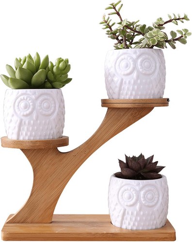 3pcs ceramic succulent pots - ceramic,