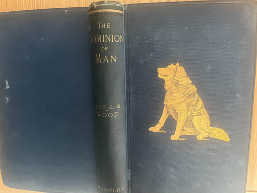 Rev wood the dominion of - the,