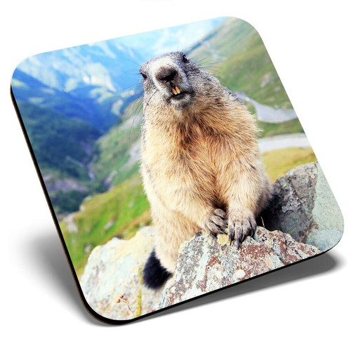 Square single coaster - single,