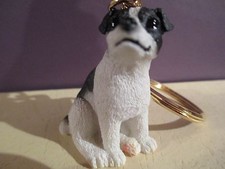 JACK RUSSELL BLACK & WHITE