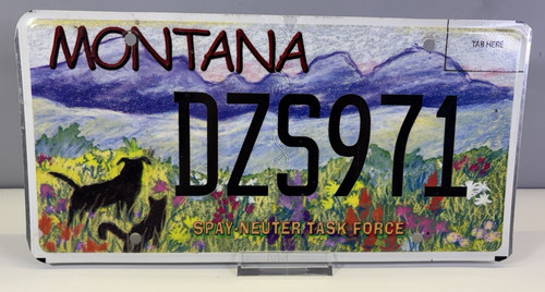 Montana usa american graphic - usa,