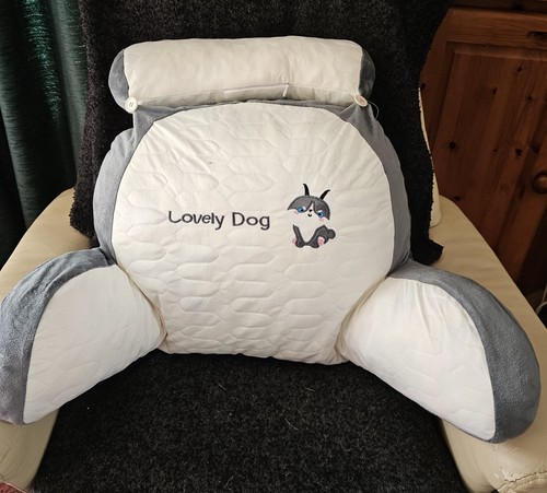 Cuddle cushion reading - cushion,