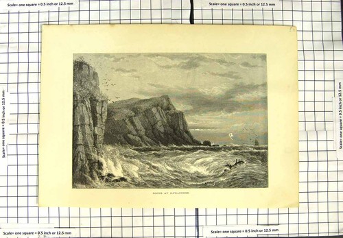 Original old antique print - original,