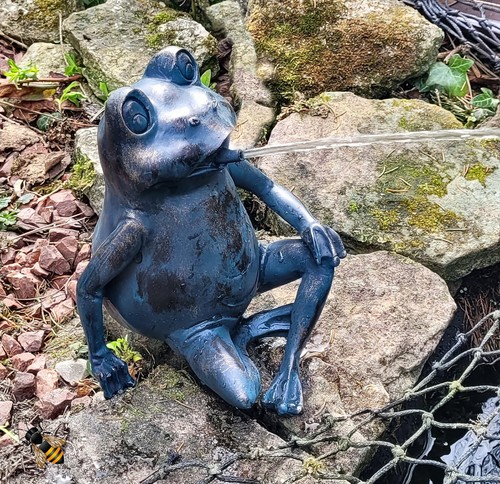 Frog pond spitter garden - pond, water