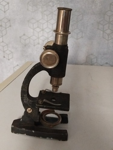 Vintage microscope slides - vintage, no