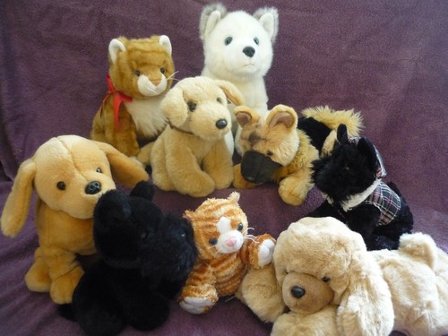 Soft toys husky - toys,
