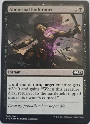 Abnormal endurance magic - endurance,